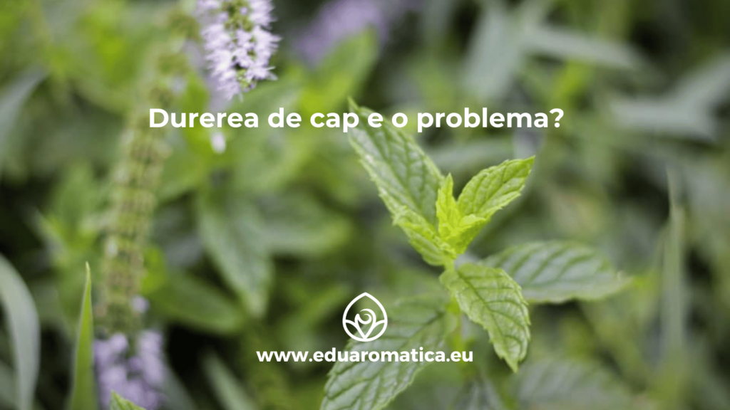 Durerea de cap e o problema?